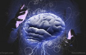脑神经科学-慢性疼痛重置技术缩略图